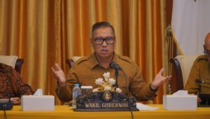 Wakil Gubernur Kepulauan Riau, Nyanyang Haris Pratamura