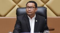 Fary Djemy Francis, Anggota / Deputi Bidang Investasi BP Batam